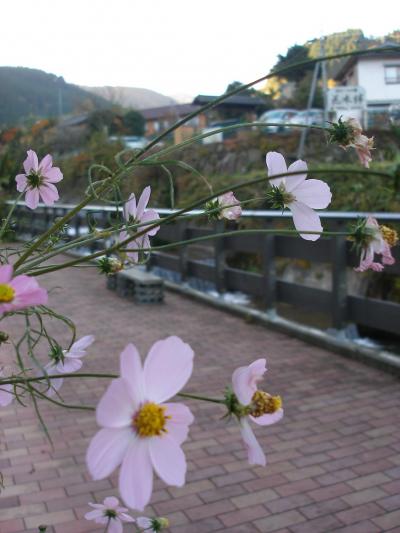 再会の旅ふたたび・・・九州（2日目：湯平⇒九重⇒久住）