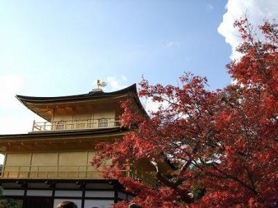 *　京都府　【鹿苑寺（金閣寺）　紅葉始め】　２００７　*