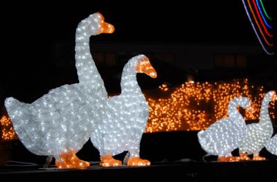 ★キラキラ★冬のイルミネーション 時之栖!