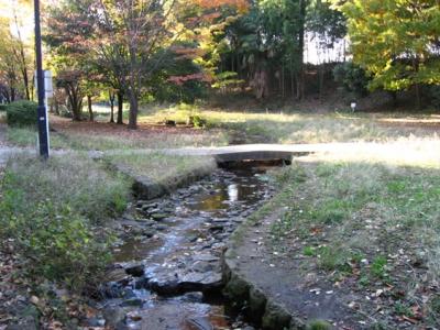 ワンコと一緒に横浜