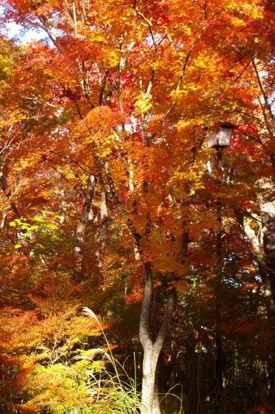 紅葉満喫の旅･･･有馬温泉