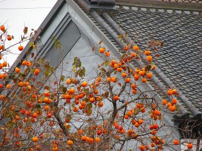 てくてく　中山道　倉賀野宿　後編
