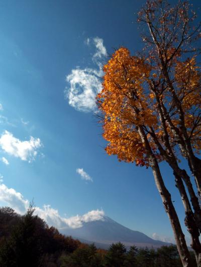 ６．エクシブ山中湖　サンクチュアリの建設現場　温泉掘削ボーリング ブーズ･カフェのランチ