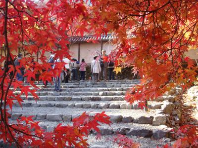 京都・嵯峨／嵐山　紅葉の旅　