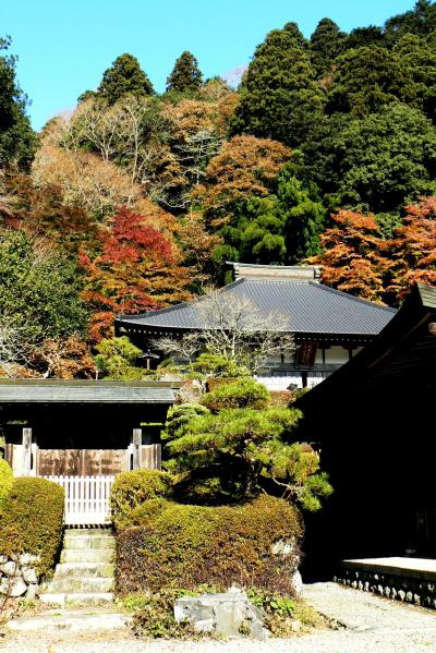 さあー、紅葉狩りだ！?知る人ぞ知る？雲厳寺に行ってみる