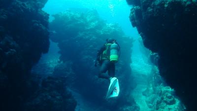 ダイビング　久米島　3日目