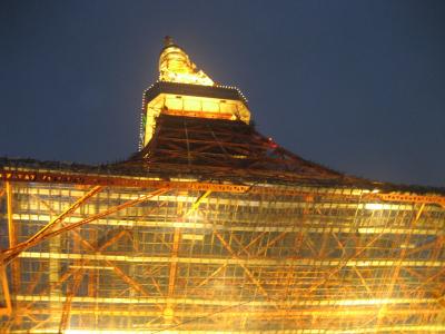 なかなか行かない！？ 東京タワー