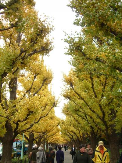 今年の秋は東京を満喫してみよう【第7弾：明治神宮外苑】