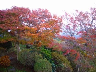 筑波山へ紅葉ドライブ