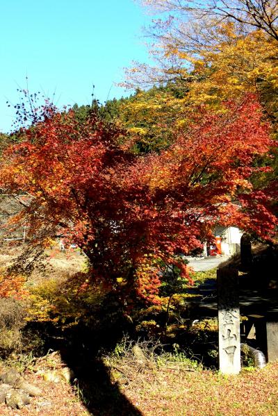 さあー、紅葉狩りだ！?八溝山、月待ちの滝、下滝と行ってみる