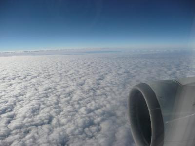 マイルを使って沖縄本島に行ってきました