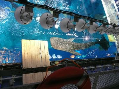 マイルを使って沖縄本島に行って来ました。（その２）