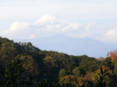 沼津アルプス制覇