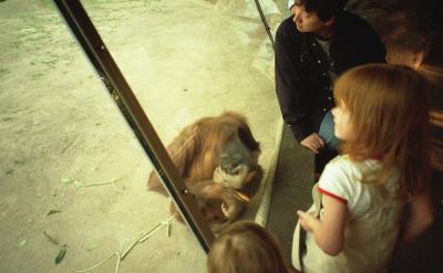 2001年ニューポートビーチ③4度目のSan Diego Zoo
