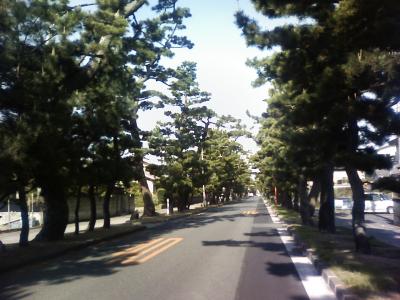東海道本線途中下車?舞阪～新居町　旧東海道てくてく旅～終