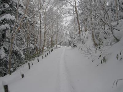 2007年12月　初冬の北海道　その８　富良野