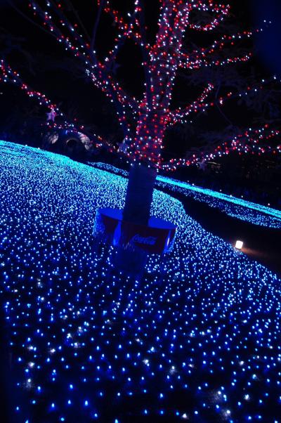 東京ミッドタウンと六本木ヒルズのクリスマス