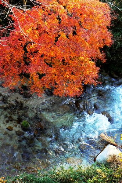 さあー、紅葉狩りだ！?花貫渓谷にやっとたどり着いた