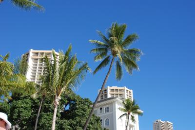 お正月ハワイ　ハイアットリージェンシーワイキキにて