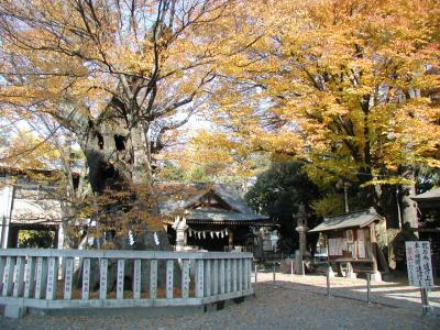 中山道を歩く・・・熊谷宿?