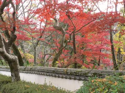 和歌山秋紀行　その１　根来寺