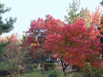 江東区を訪ねる−後編