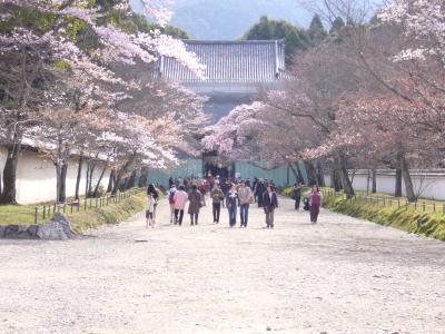 古都京都の文化財～醍醐寺～