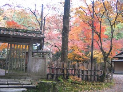 ちょっとそこまで”弧蓬庵”