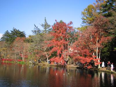 軽井沢日帰り旅行