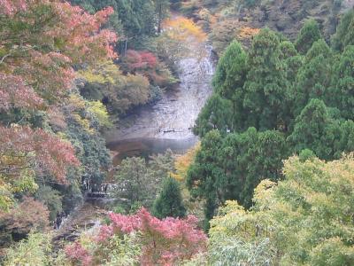 千葉日帰り旅行