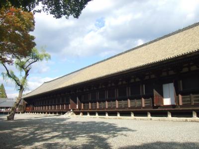 三十三間堂・渉成園 イル・パッパラルドでランチ