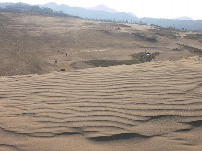 2007/11 鳥取・京都の旅（鳥取砂丘編）