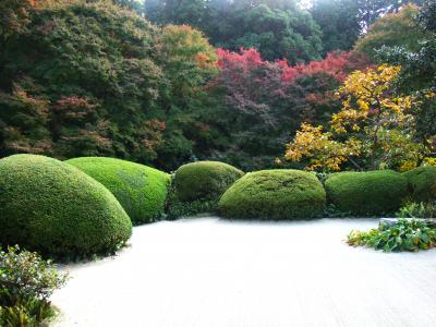 詩仙堂・圓光寺 一乗寺周辺の観光