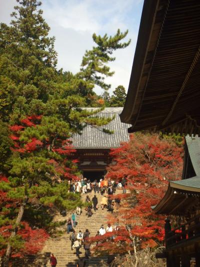 高雄の紅葉 神護寺・西明寺(もみぢ家でランチ)