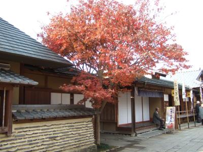 おかげ横丁へ紅葉を見に行こうよう＆食べ歩き