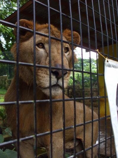 サイパン１ヶ月滞在記★動物園編★