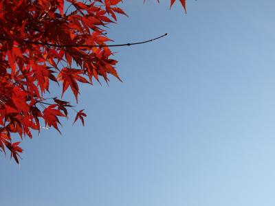 下呂温泉でのんびり