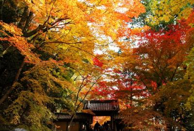 もみじ寺の永源寺