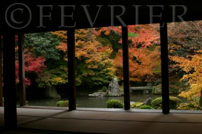 雨の蓮花寺、静けさの中で紅葉を楽しむ。