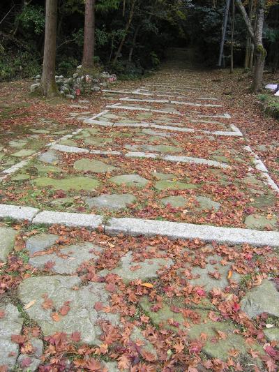 近江路・八日市箕作山の紅葉