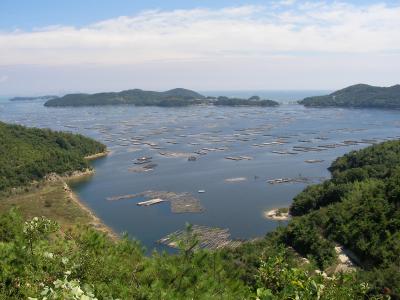 牡蠣イカダの見える虫明湾