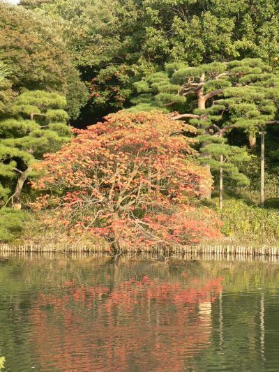 日本の旅　東京を歩く　六義園と赤坂周辺