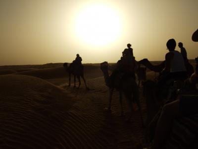 世界遺産とサハラ砂漠 チュニジア8日間の旅 2