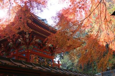 ★★★の観光地　高尾山