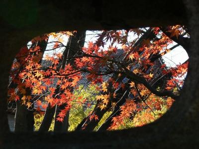 紅葉回廊・増上寺