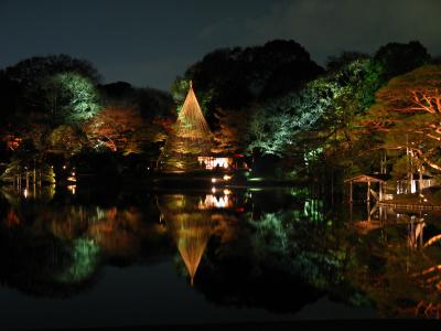 ライトアップ&イルミネーション