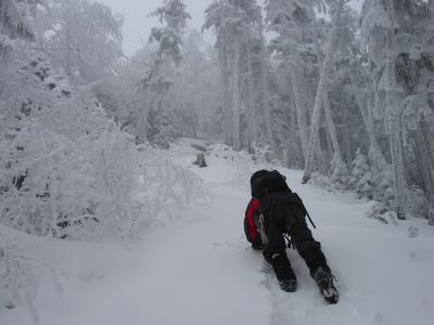 初冬の南八ヶ岳