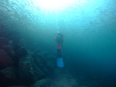 遂にドライデビュー☆彡串本・須江