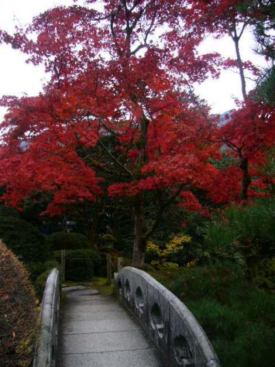 紅葉めぐり☆女二人旅