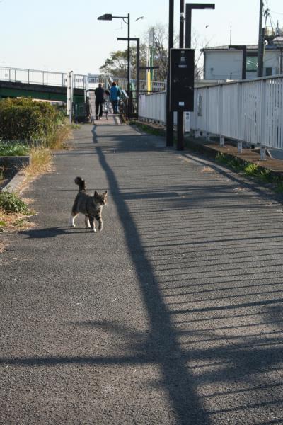 冬の散歩道（大森ふるさとの浜辺公園）